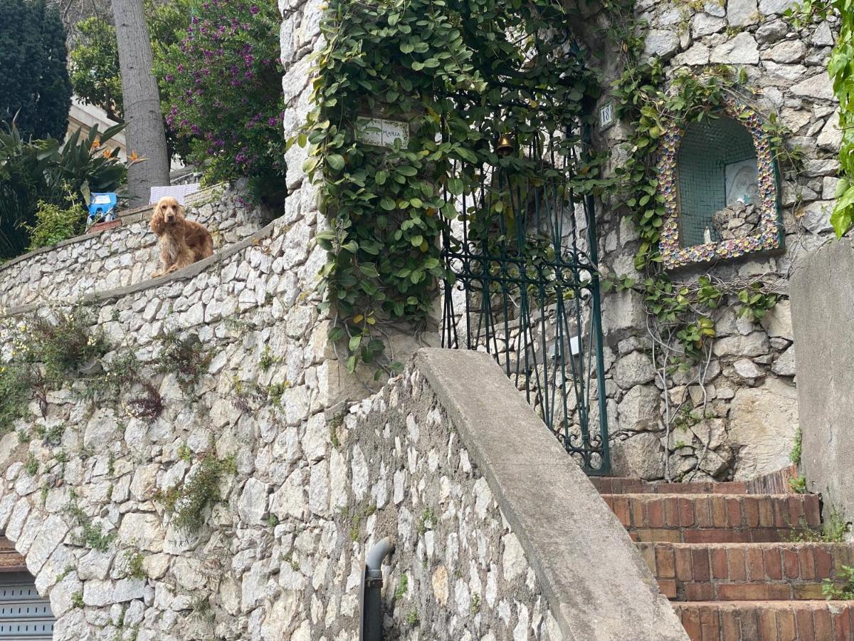 Regina Di Capri - Suite Vista Faraglioni Zewnętrze zdjęcie